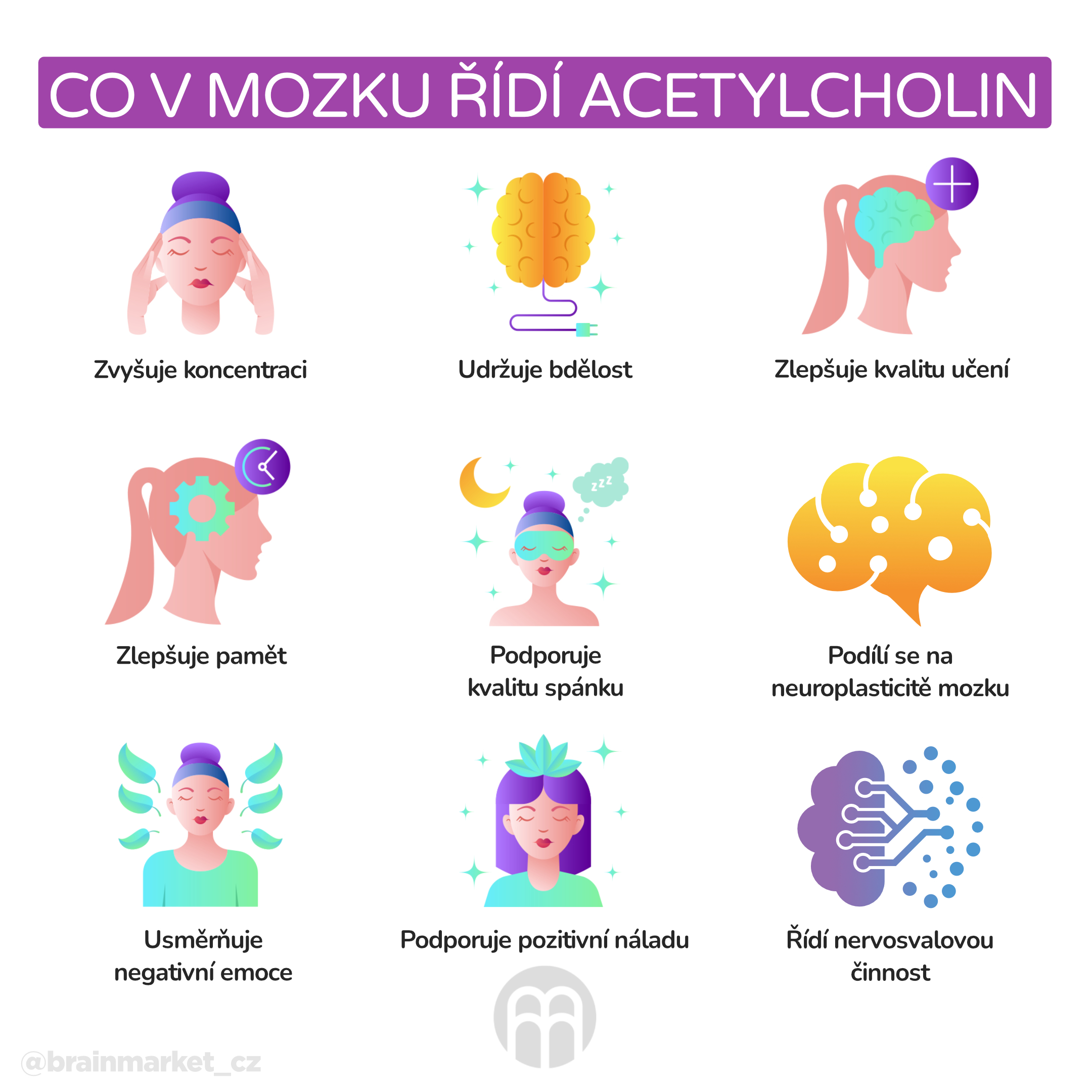 co_v_mozku_ridi_acetylcholin_infografika_cz