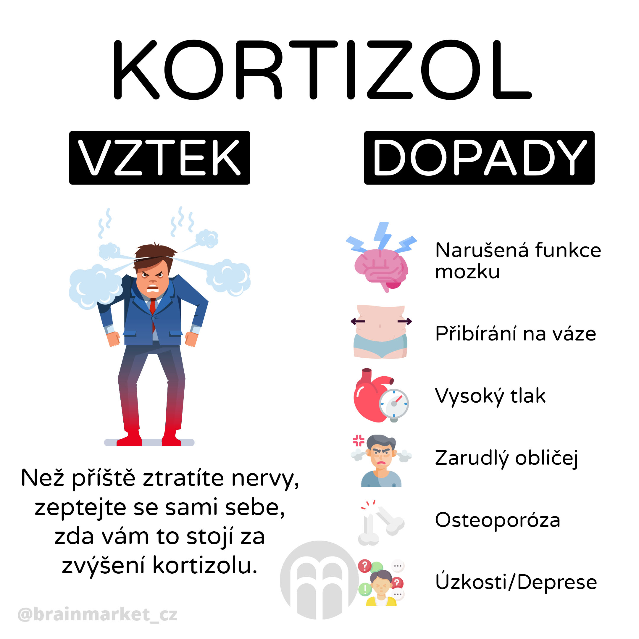 kortizol_infografika_brainmarket_cz