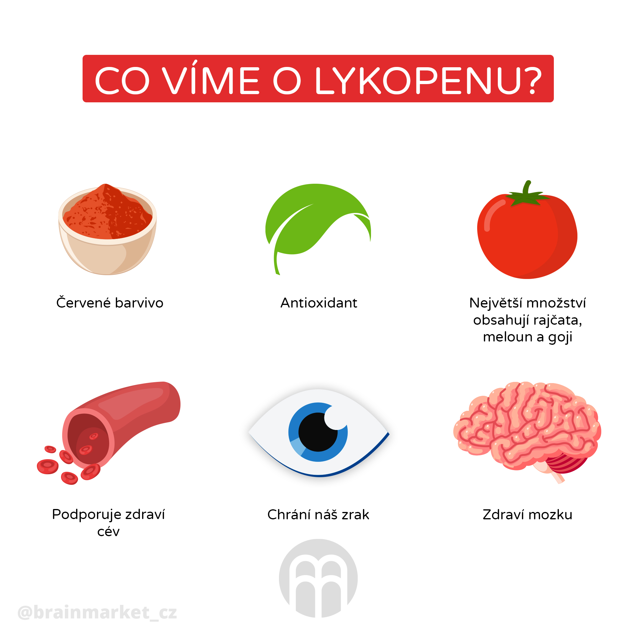 lykopen_infografika_brainmarket_cz