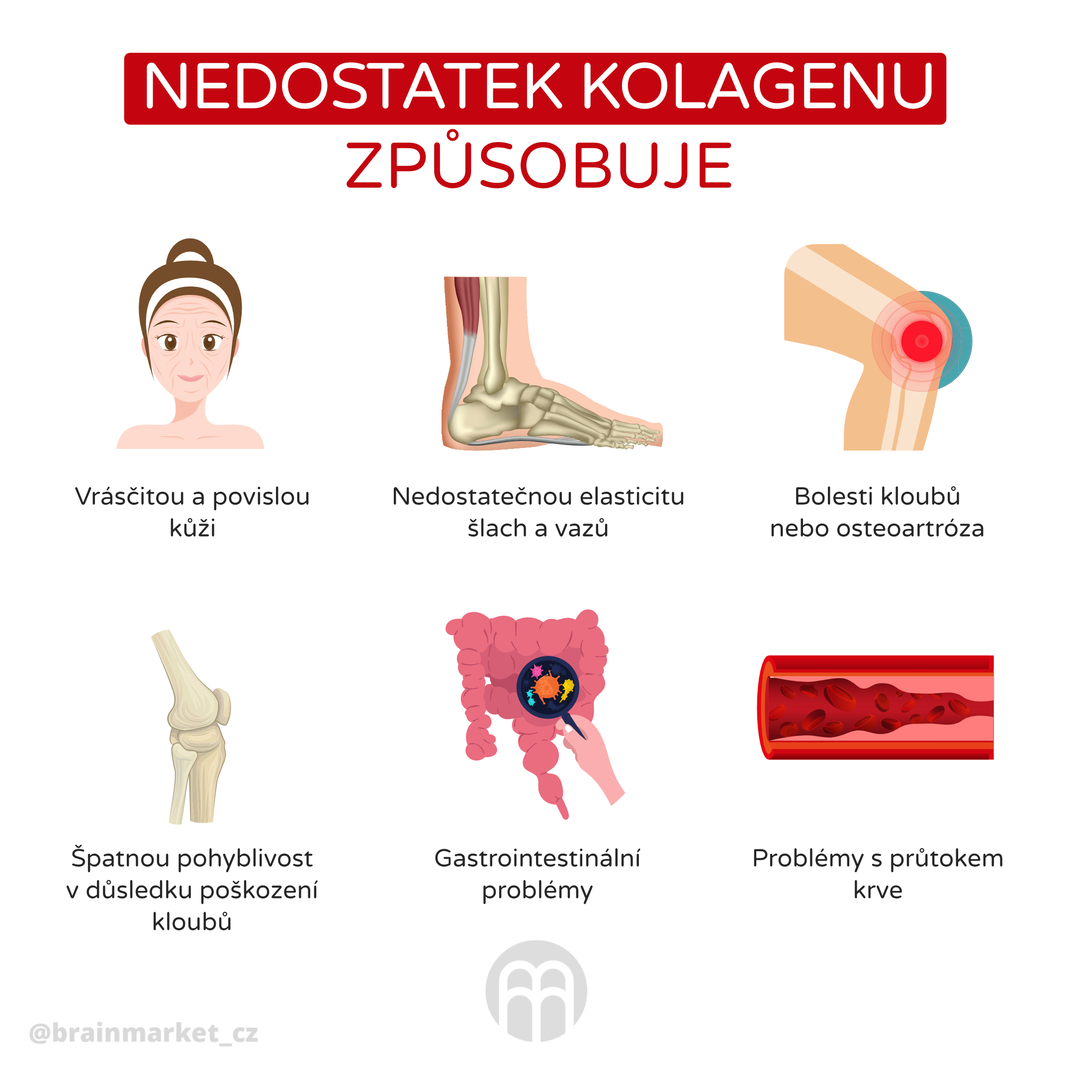 Na co je dobrý kolagen?