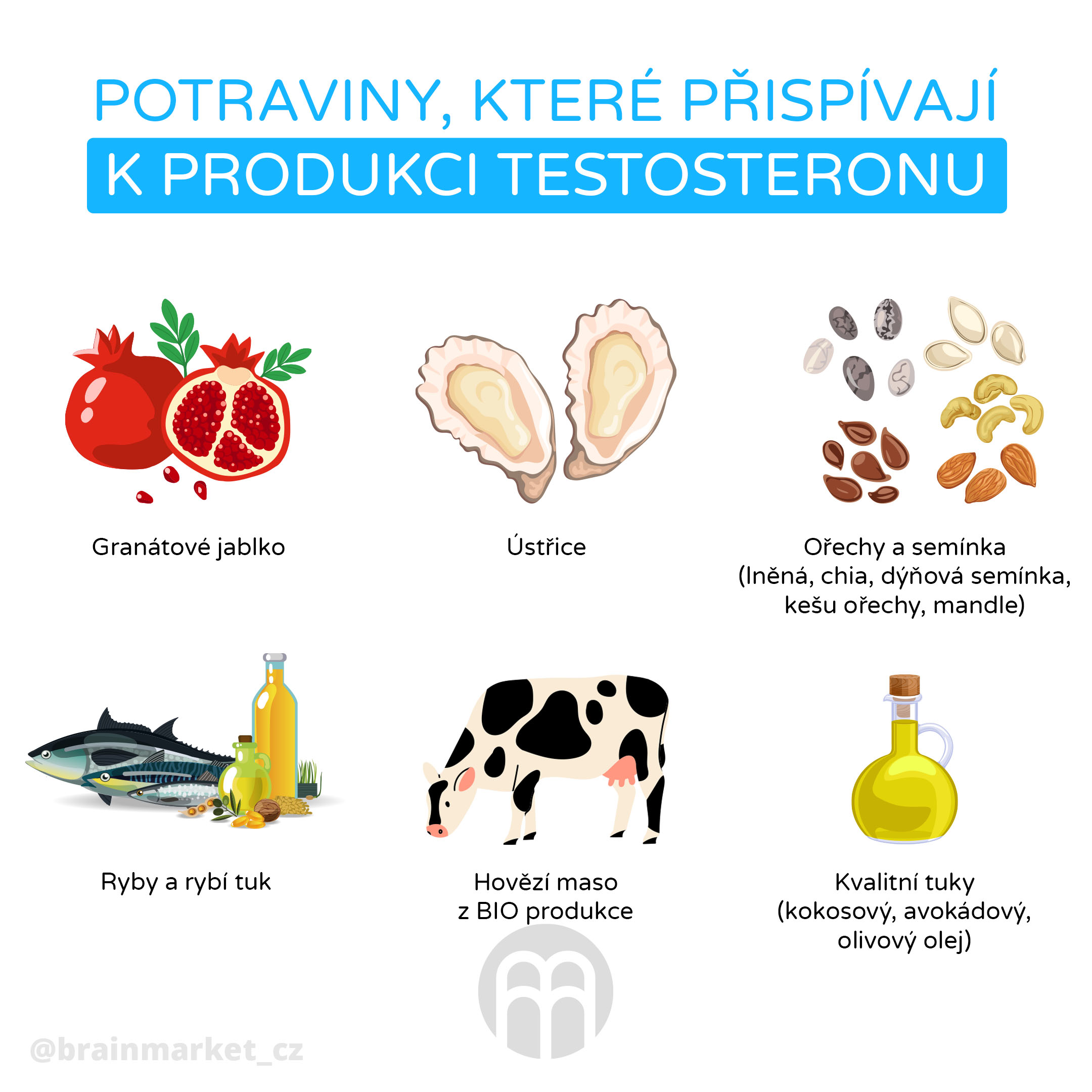 potraviny_produkce_testosteronu_infografika_brainmarket_cz