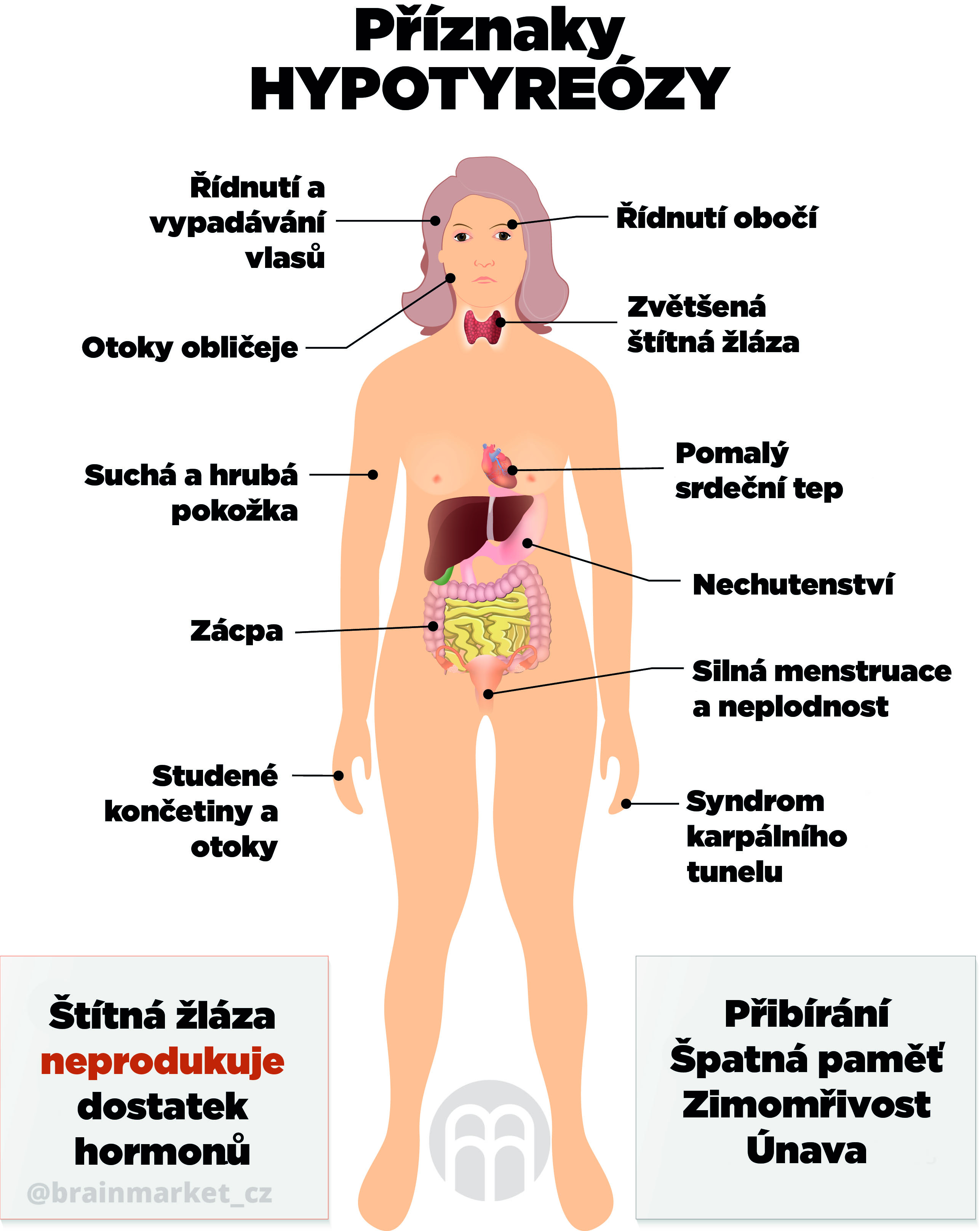 Jak se poznají problémy se štítnou žlázou?