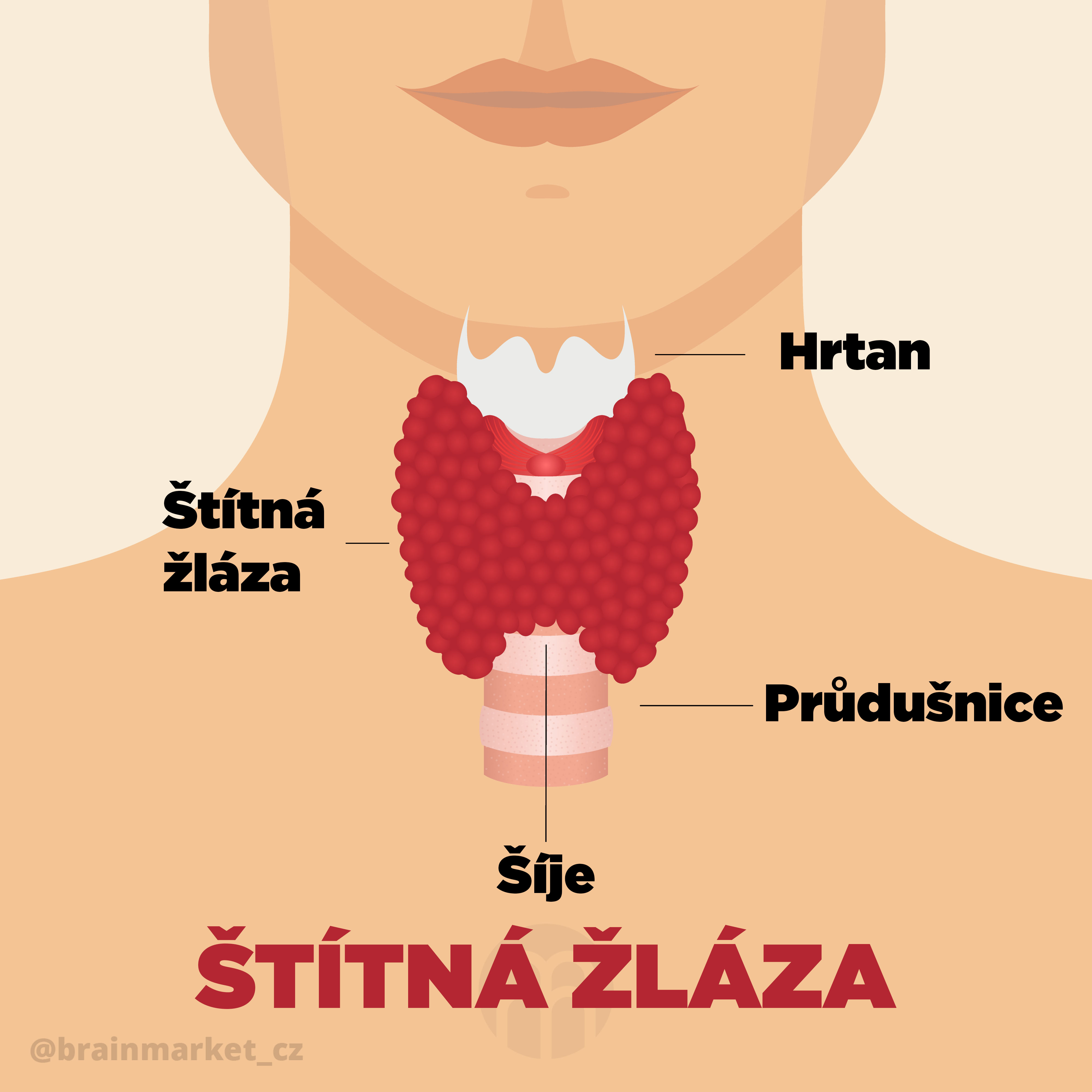 stitna_zlaza_infografika_cz