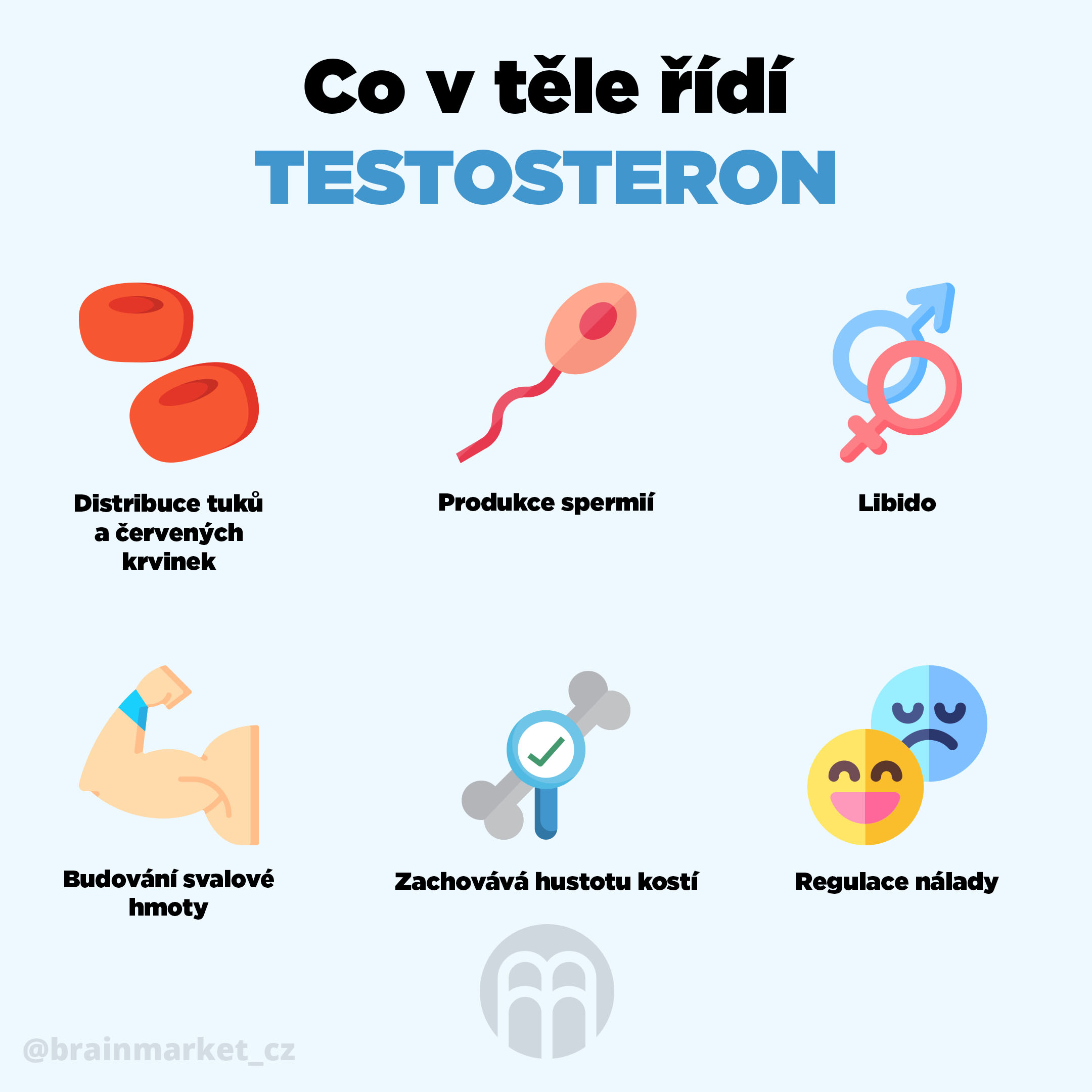 testosteron_brainmarket_infografika_cz