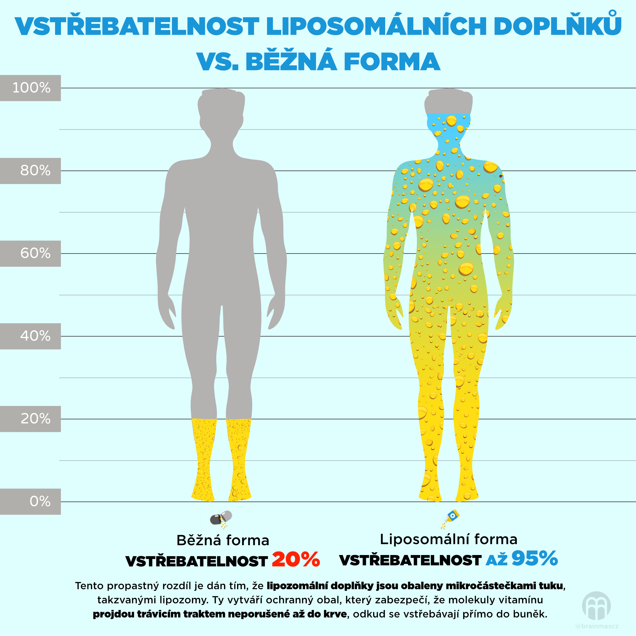vstrebavani_lipozomu_infografika1_cz_cz
