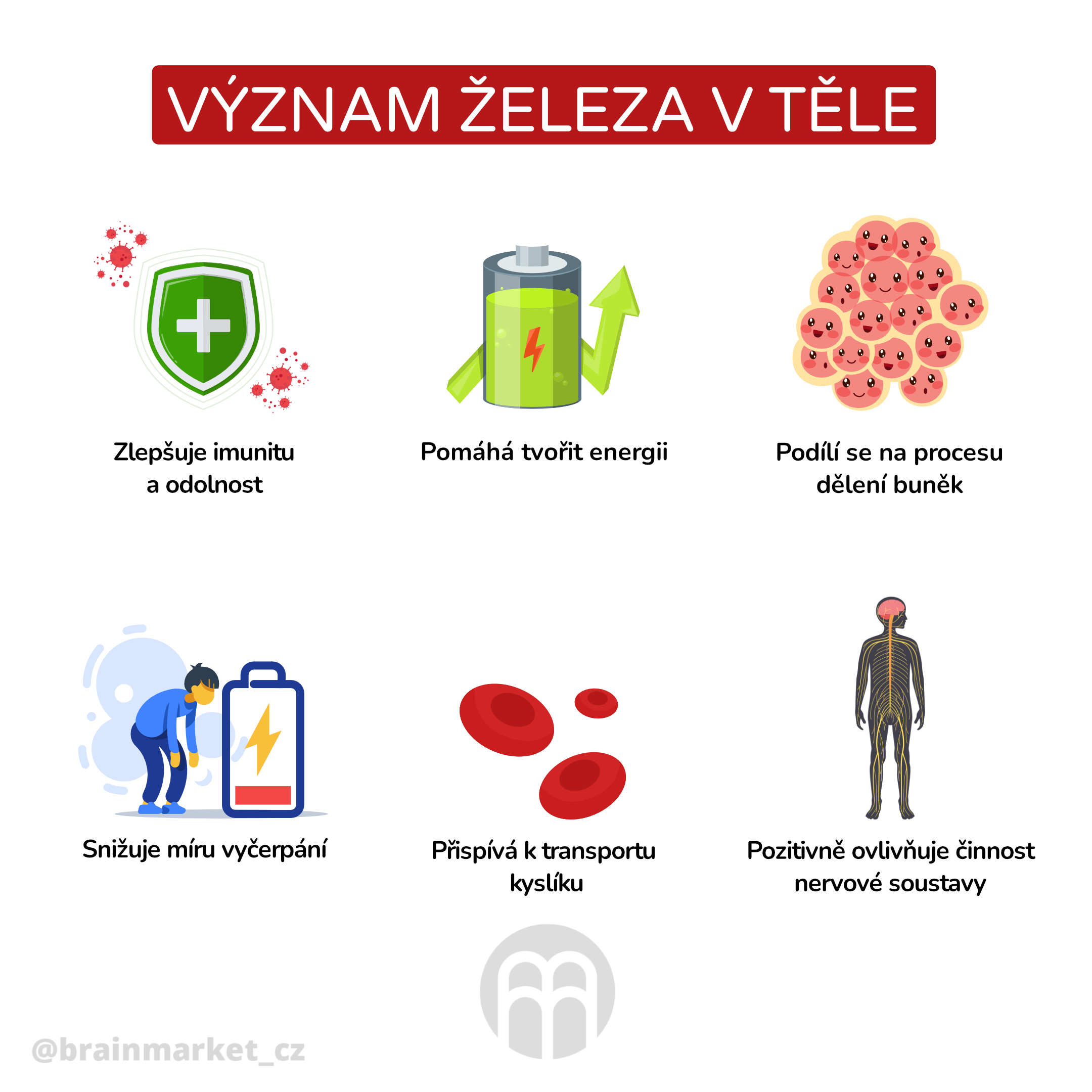 vyznam_zeleza_v_tele_infografika_cz