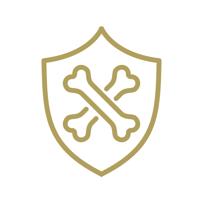 bone fragility