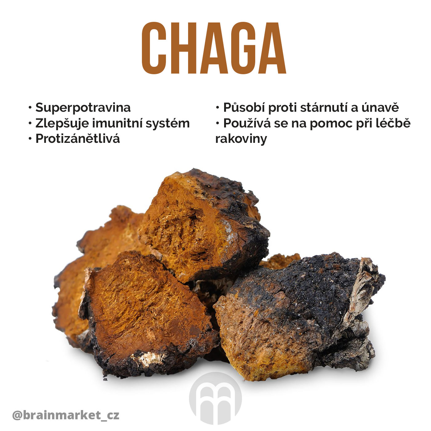 chaga-infografika-brainmarket