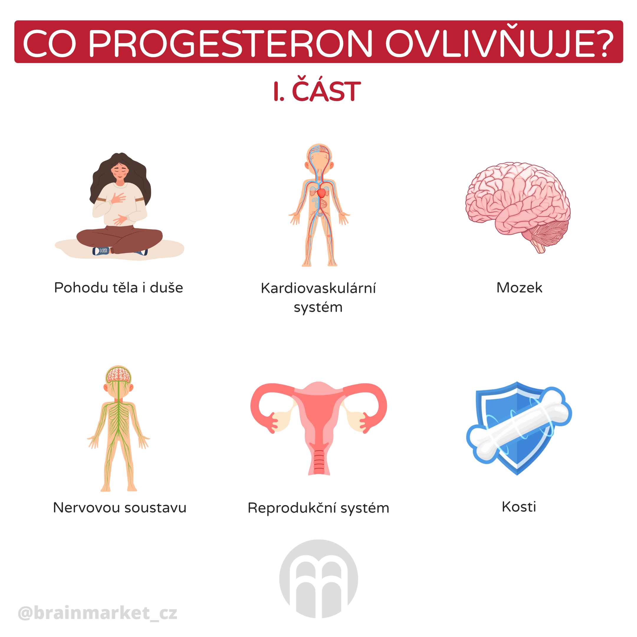 Co je to progesteron?