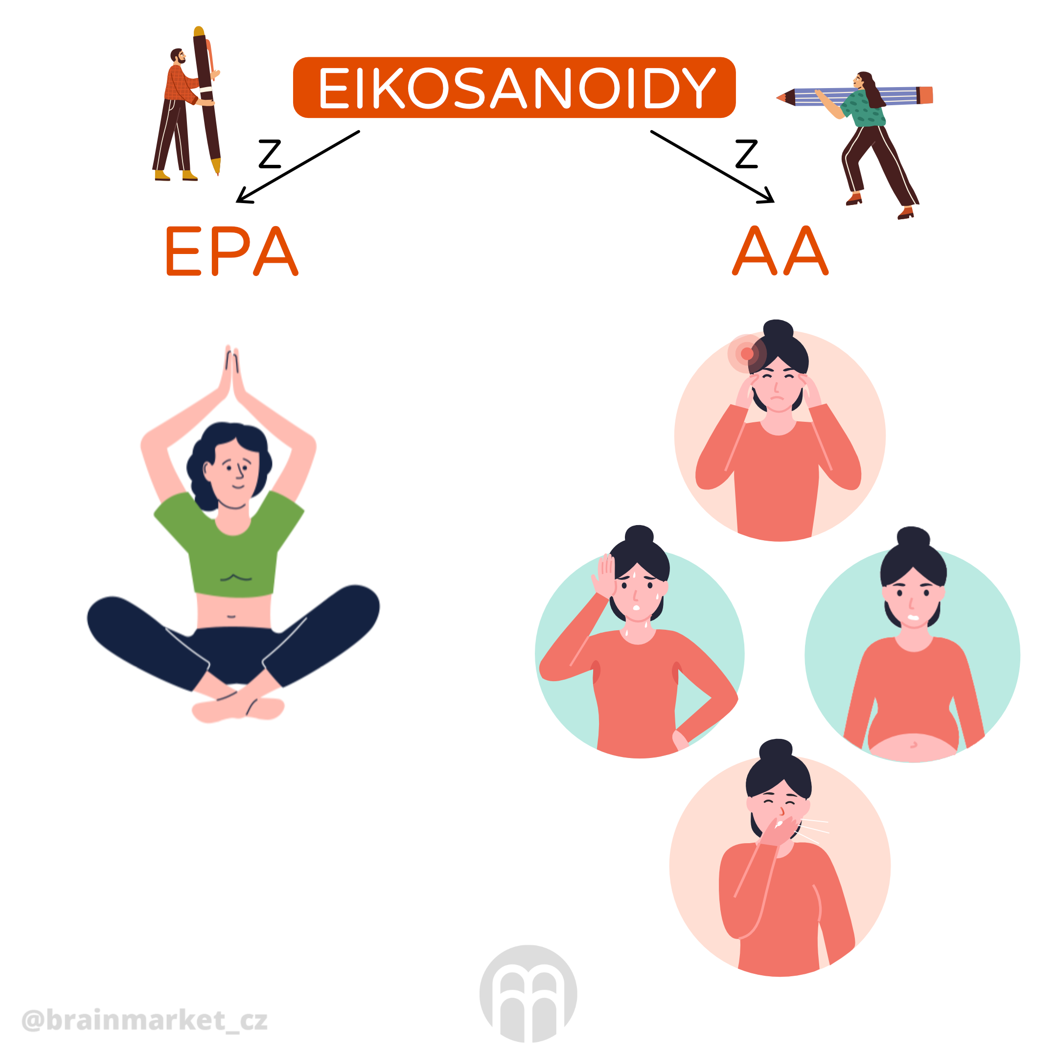 eikosanoidy_infografika_cz