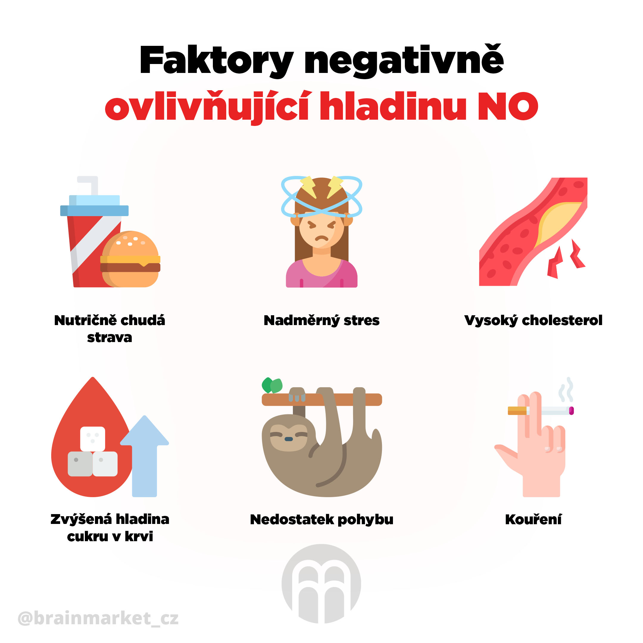 faktory_negativne_ovlivnujici_hladinu_NO_infografika_brainmarket_cz