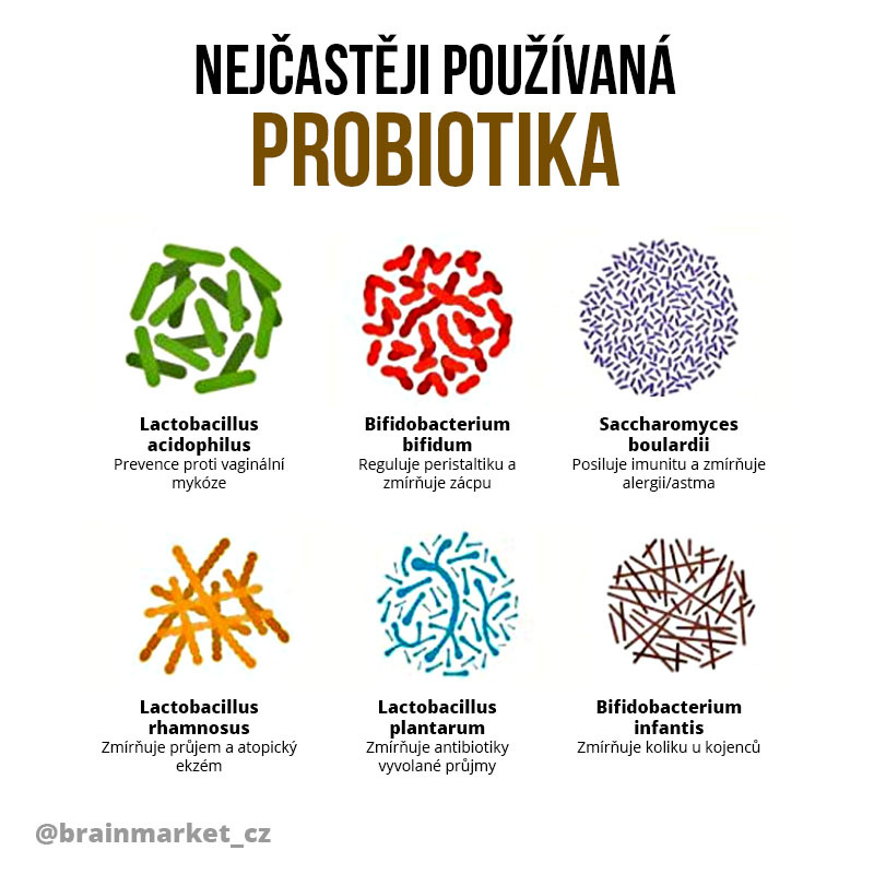 nejcasteji-probiotika