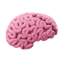 Icons_brain_neuro and psycho functions (1)