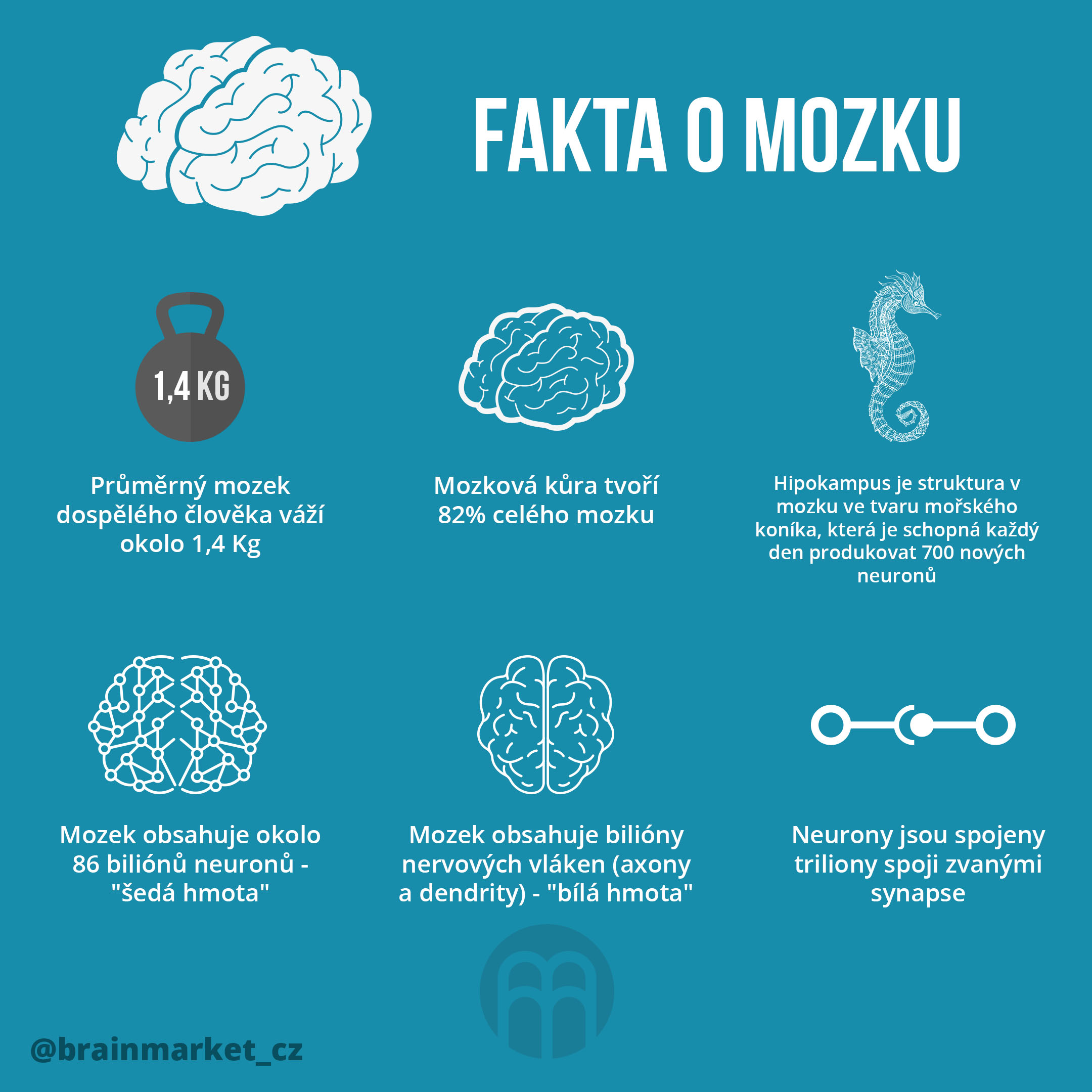 Co potřebuje mozek?