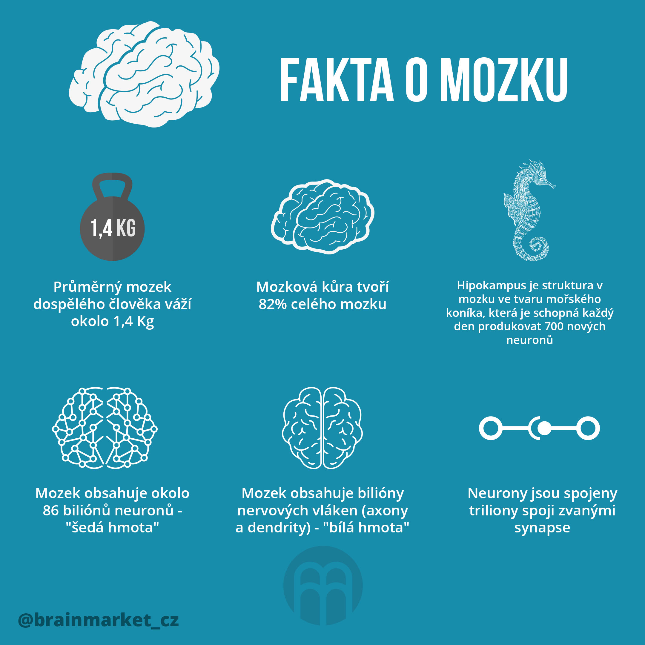 fakta-o-mozku