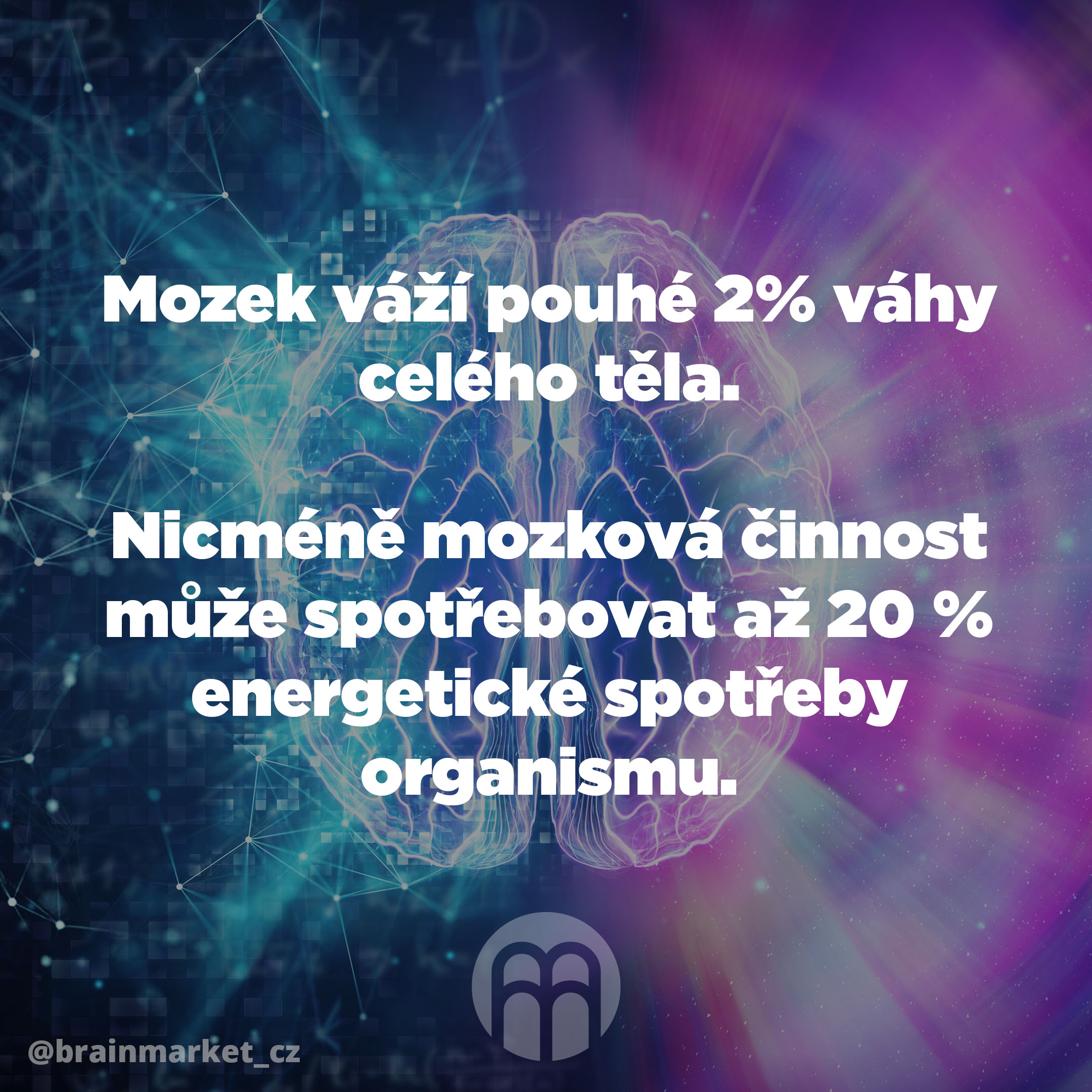 mozek_vazi_pouhe_2_procenta