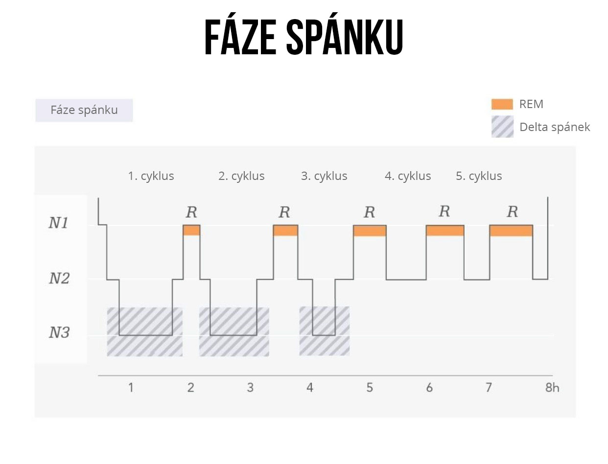 Jak dlouhá je REM fáze?