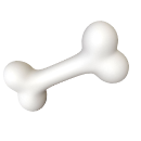Bone_icons (copy)