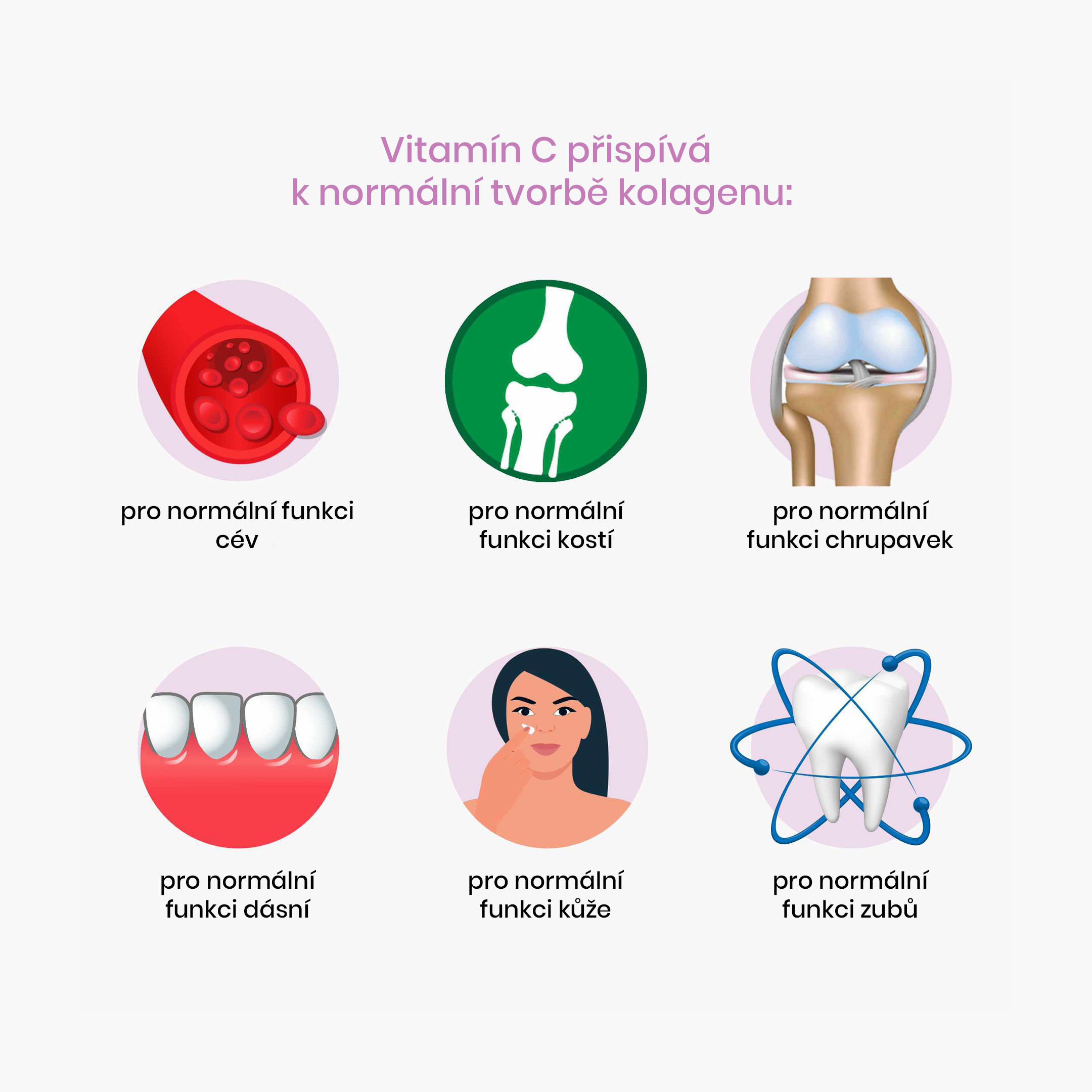 vitamin C_infografika1_cz