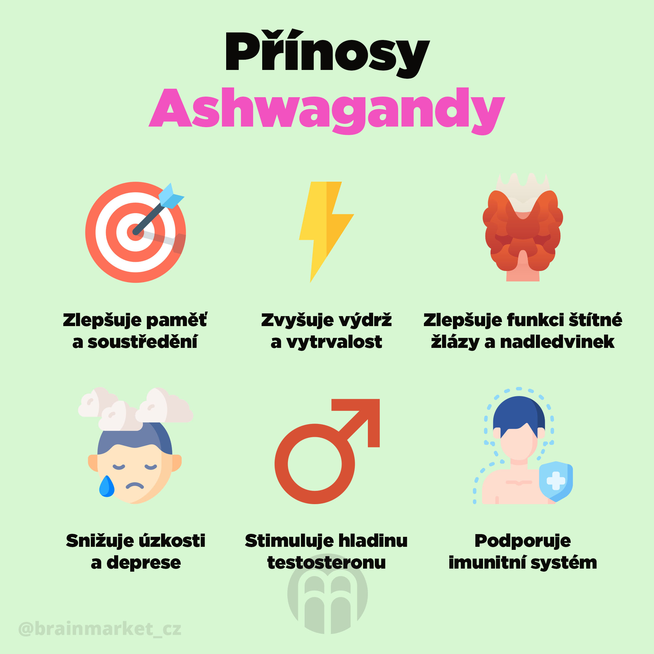 prinosy_ashwagandy_Infografika_Instagram_BrainMarket