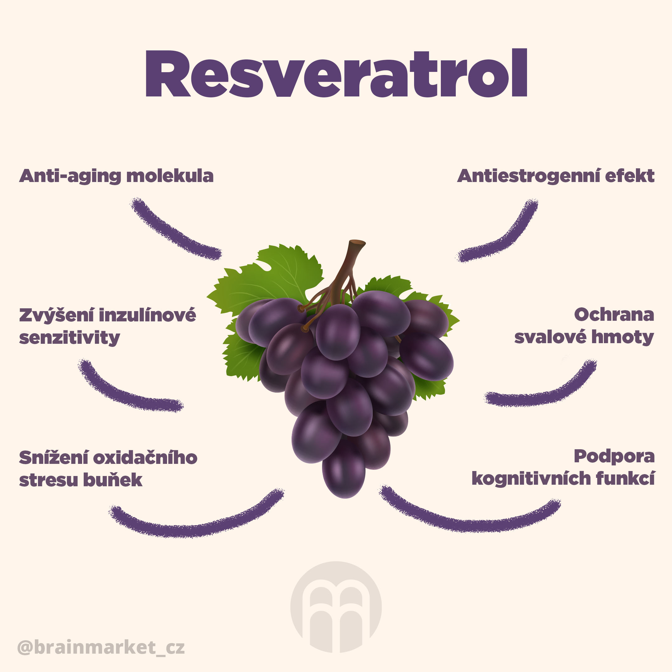 resveratrol-2x-infografika-brainmarket