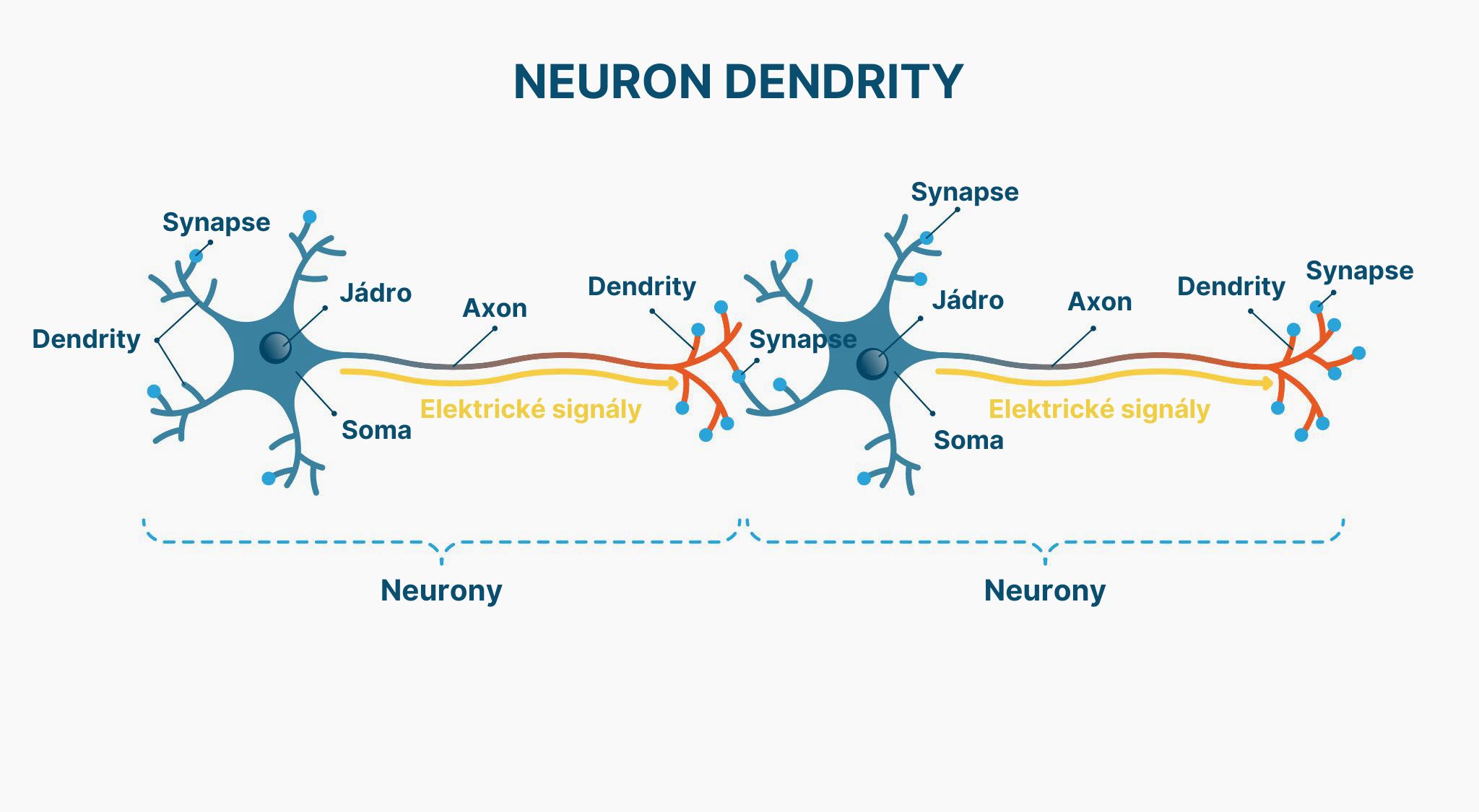 Samurai Focus neurons (match)