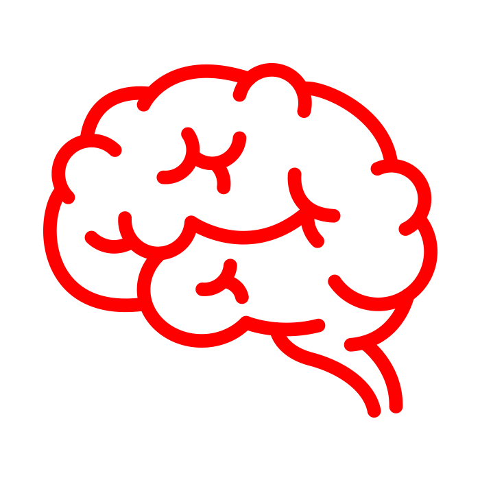 nourishes the brain