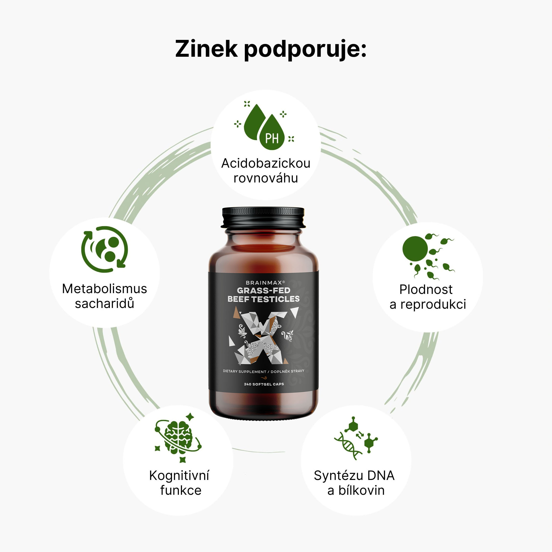 BrainMax Grass-Fed organs (products) testicles zinc
