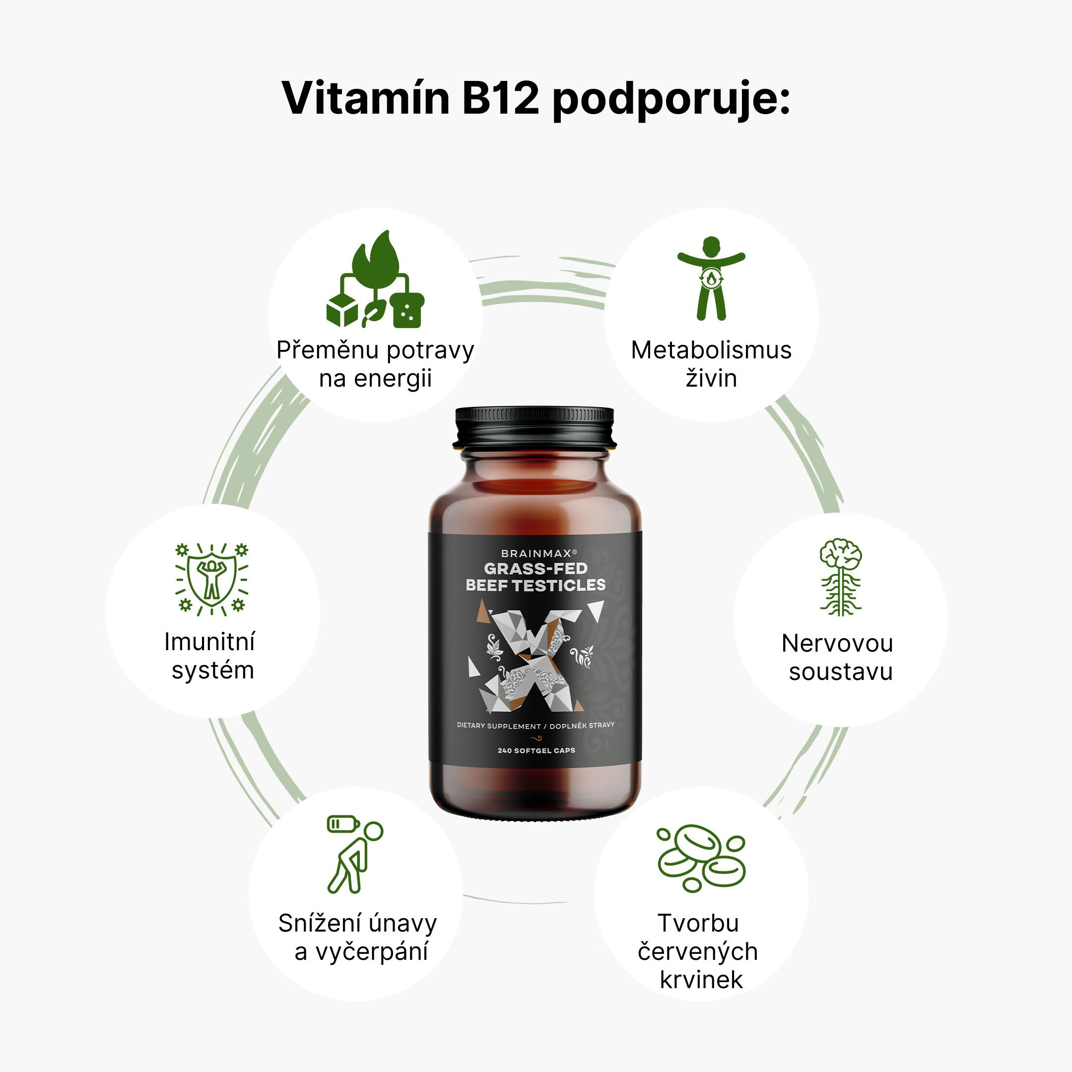 BrainMax Grass-Fed organs (products) vitamin b12