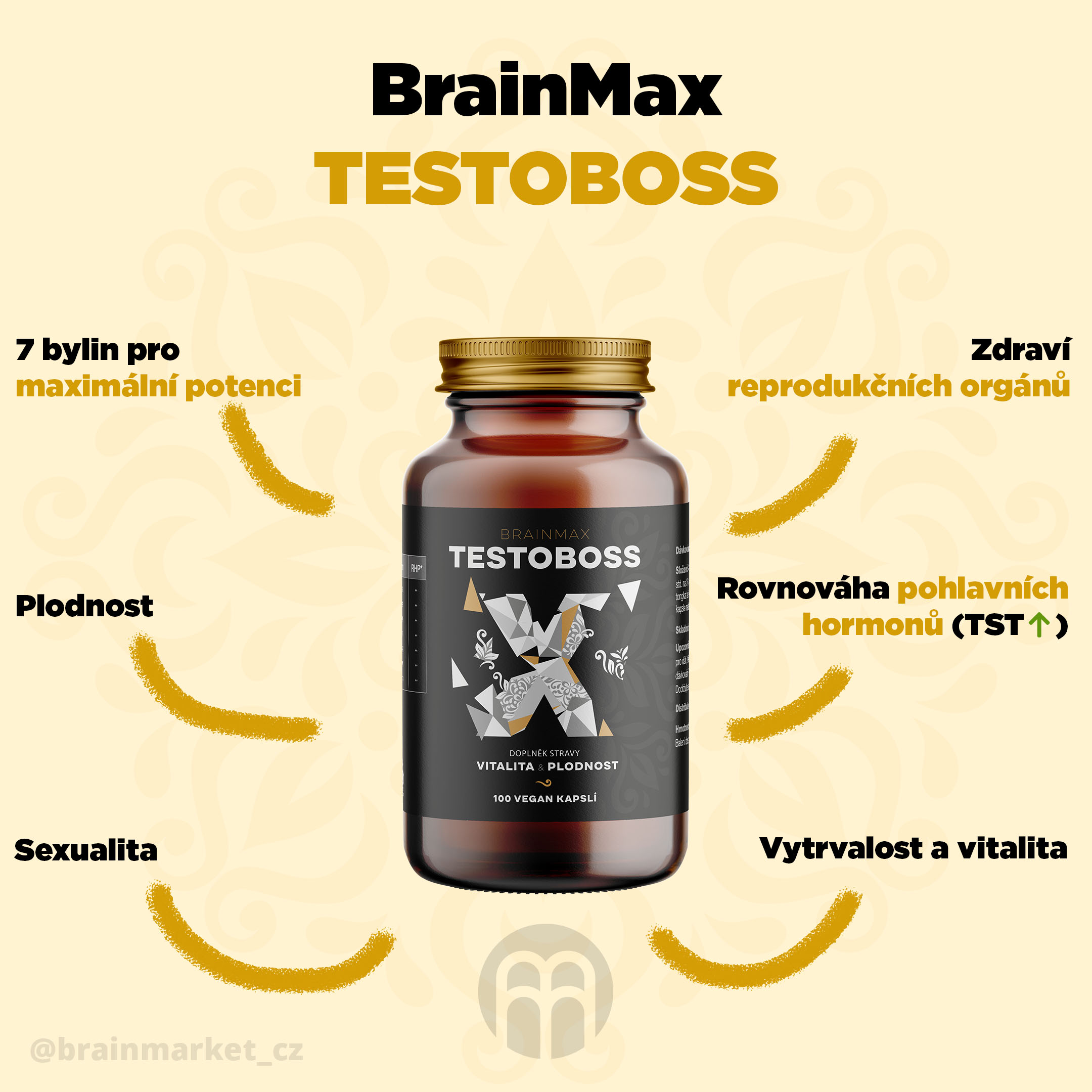 testoboss brainmax infografika brainmarket CZ