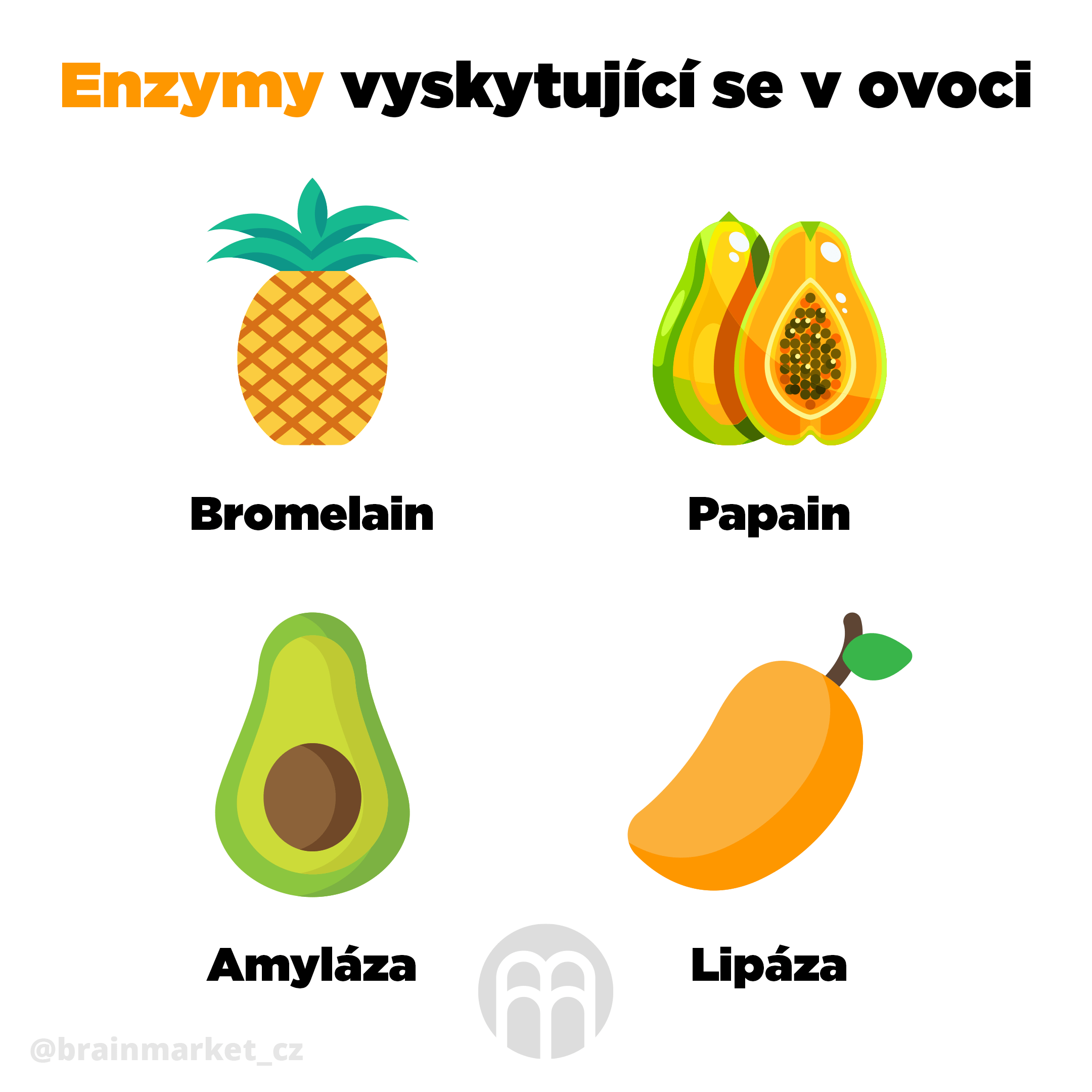 Jak se tráví tuky?