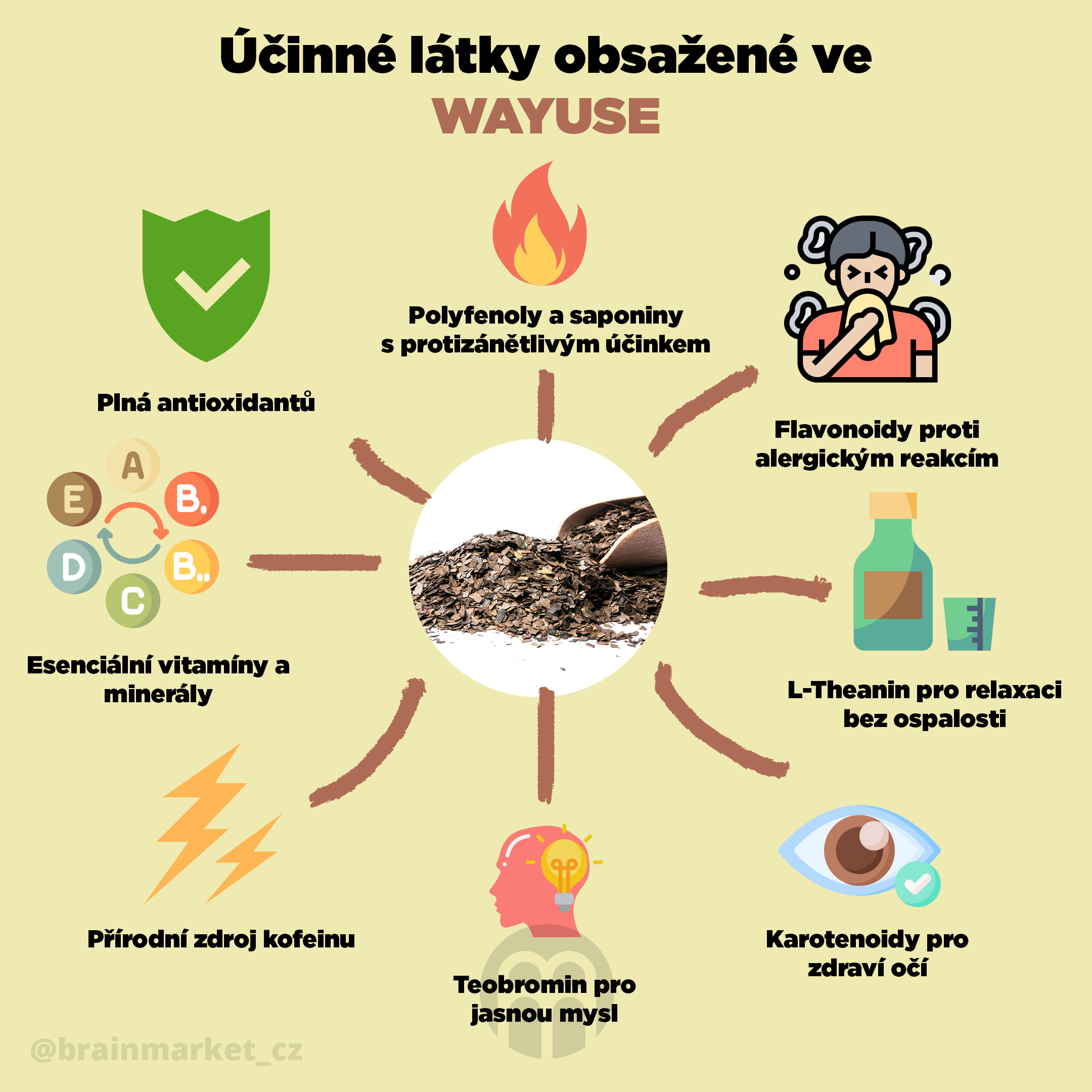 ucinne_latky_wayusa_Infografika_Instagram_BrainMarket