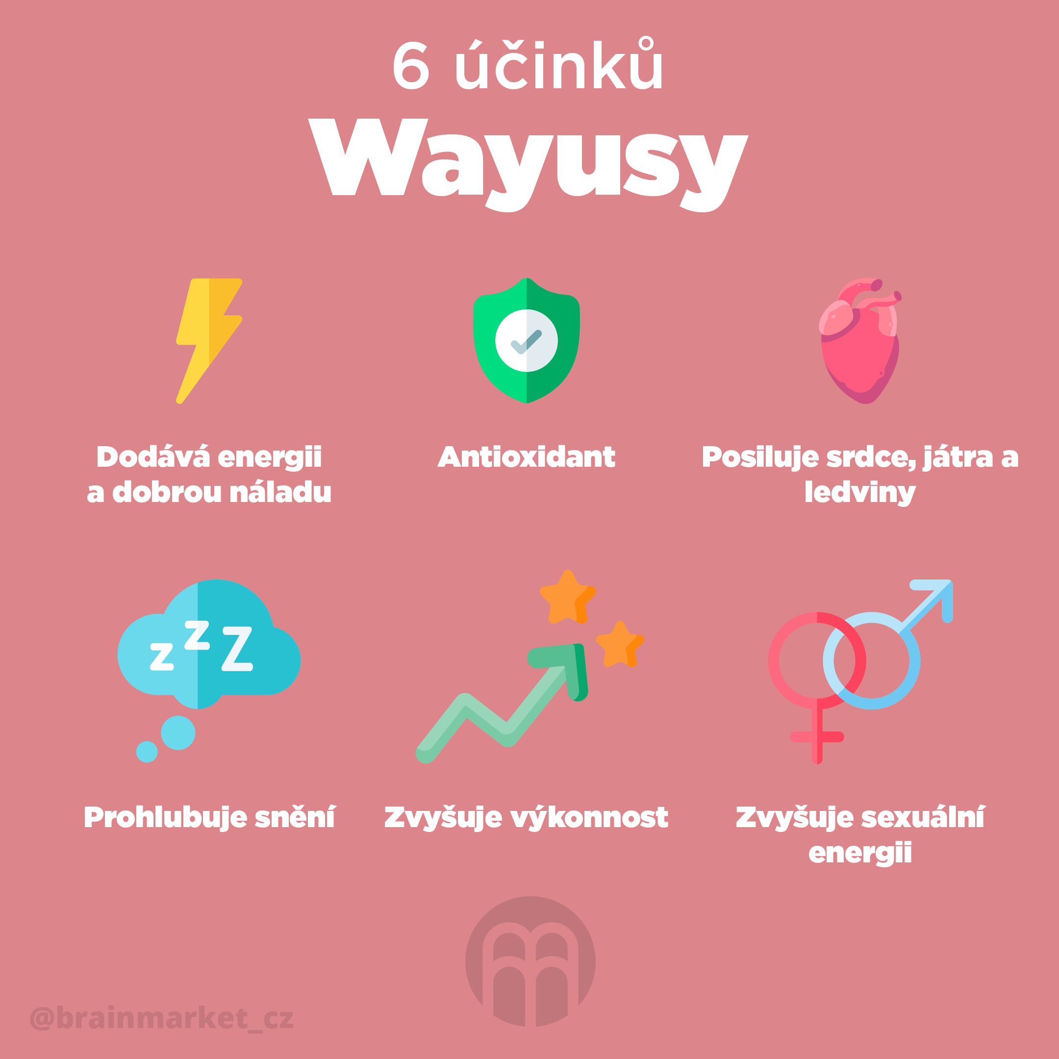 wayusa_cz_Infografika_Instagram_BrainMarket