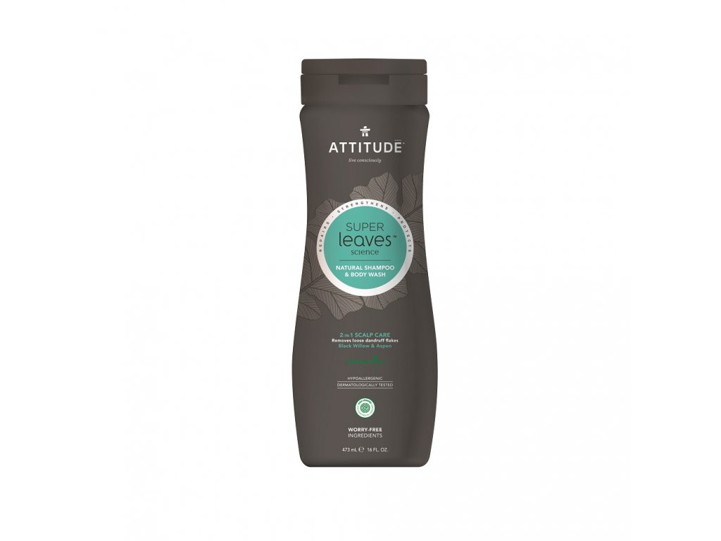 Attitude - Přírodní pánský šampón & tělové mýdlo 2 v 1 s detoxikačním účinkem - proti lupům, 473 ml