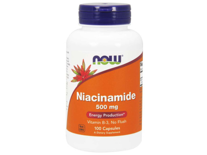 now vitamin b3 nikotinamid 500 100 (1)