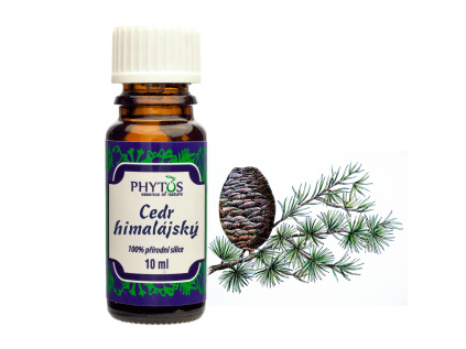 Cedr himalájký produkt 1
