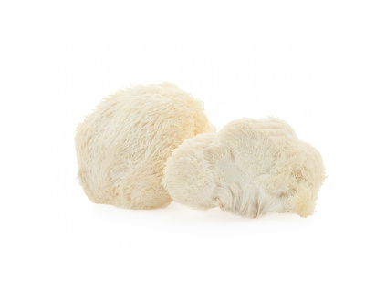 LIONS MANE BrainMax Pure JPG ESHOP