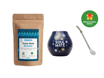 yerba brainic CZ
