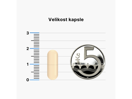 epigenetic+pillbox