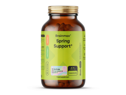 vizual spring support
