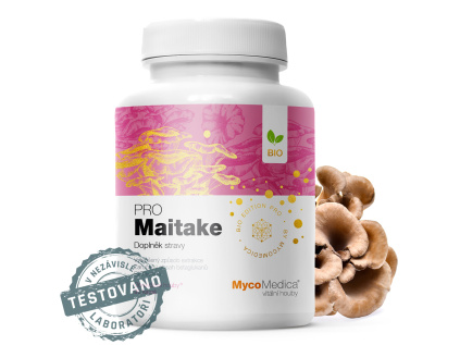 maitake detail s razitkem kopie.1025759333