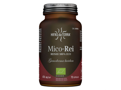 1.mico rei hifas da terra