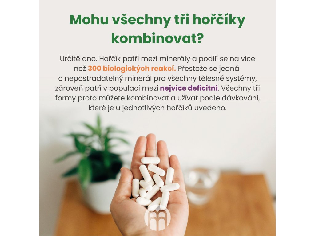 Performance Magnesium 1000 mg 100 tbl. (Hořčík + Vitamín B6) Obrázek
