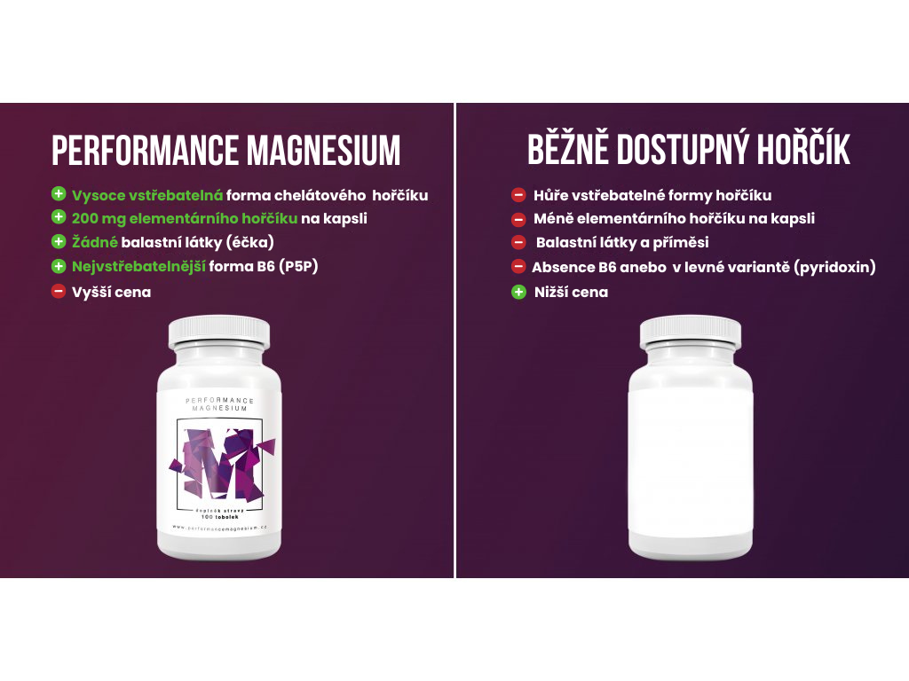 Performance Magnesium 1000 mg 100 tbl. (Hořčík + Vitamín B6)