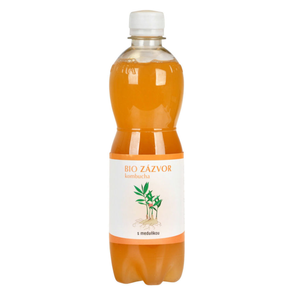 STEVIKOM - Kombucha zázvorová s meduňkou BIO, 500ml *CZ-BIO-001 certifikát