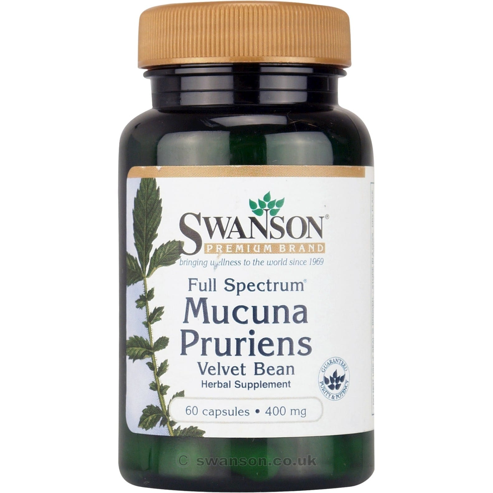 Levně Swanson Full Spectrum Mucuna Pruriens (Sametové fazole), 400 mg, 60 kapslí