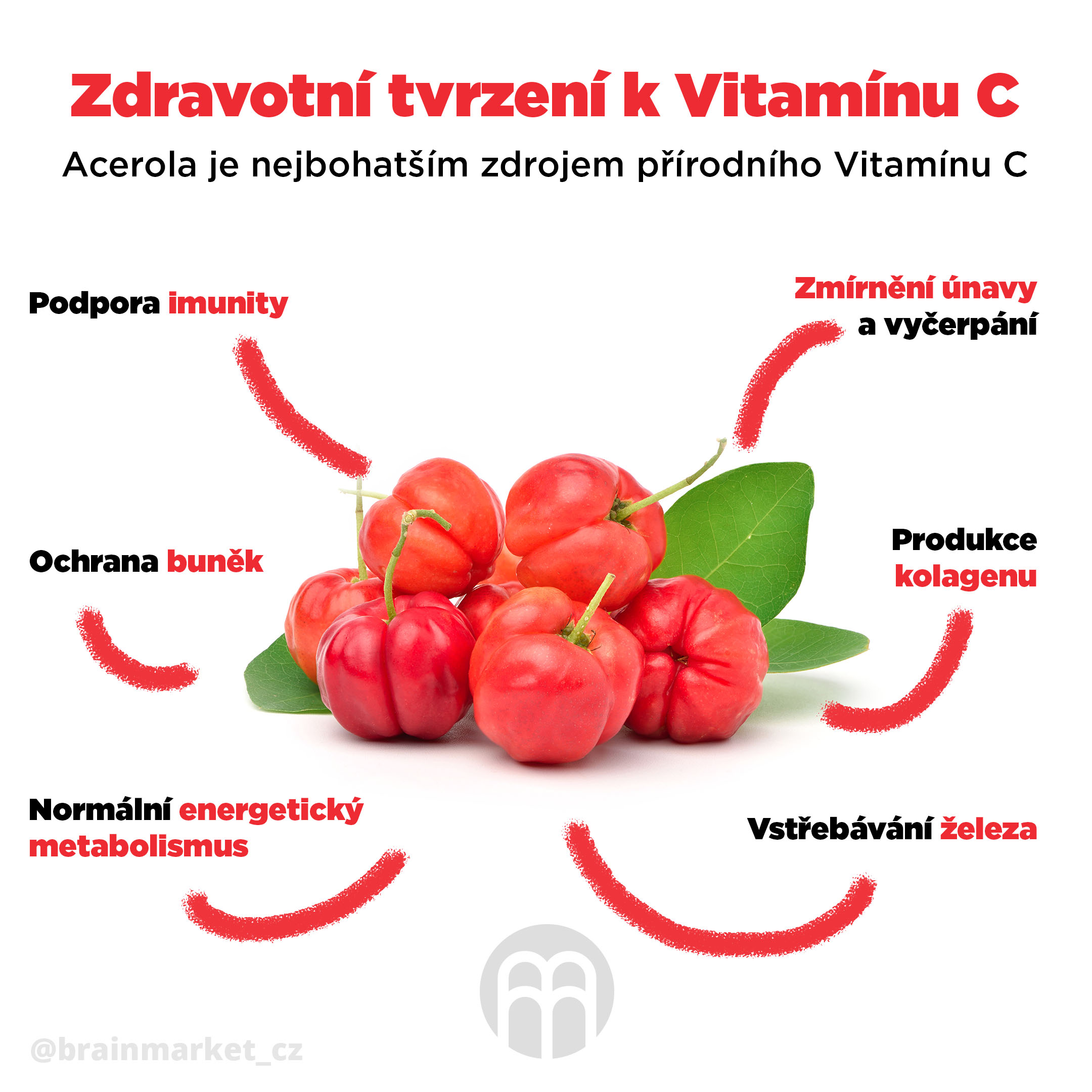 acerola-brainmax-pure-infografika-brainmarket-cz