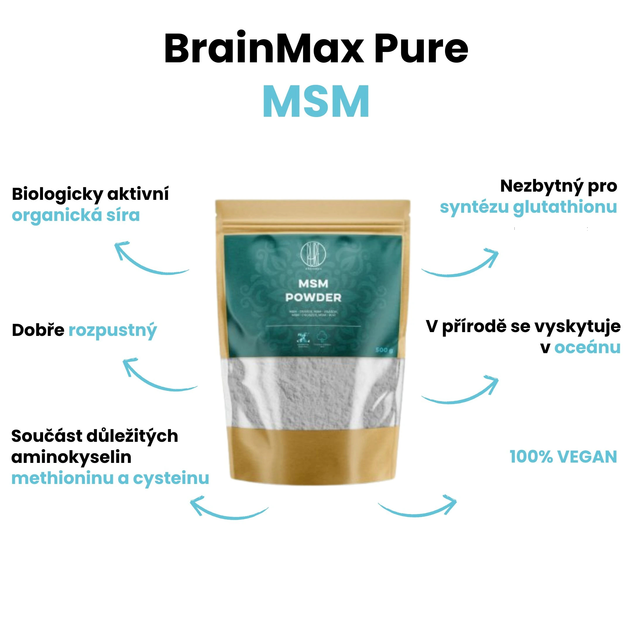 BrainMax Pure MSM prášek, 250 g Obrázek