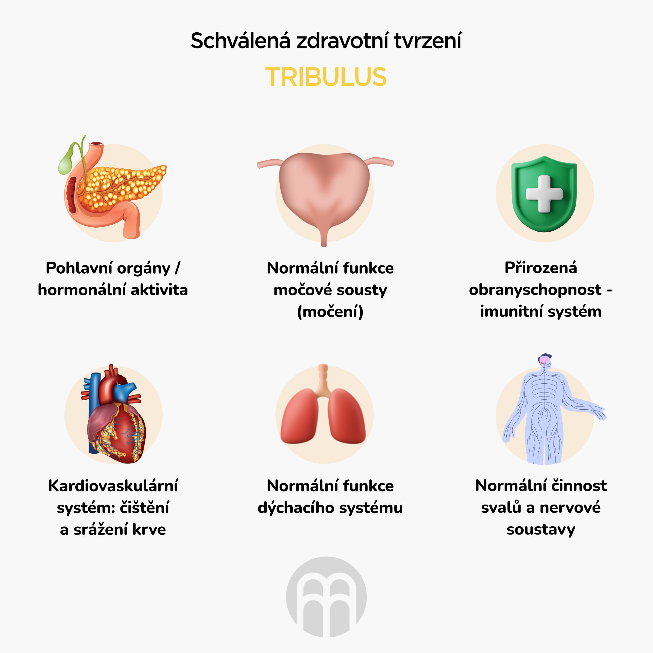 BrainMax Pure Tribulus, Kotvičník zemní, tinktura 1:3, 100 ml Obrázek