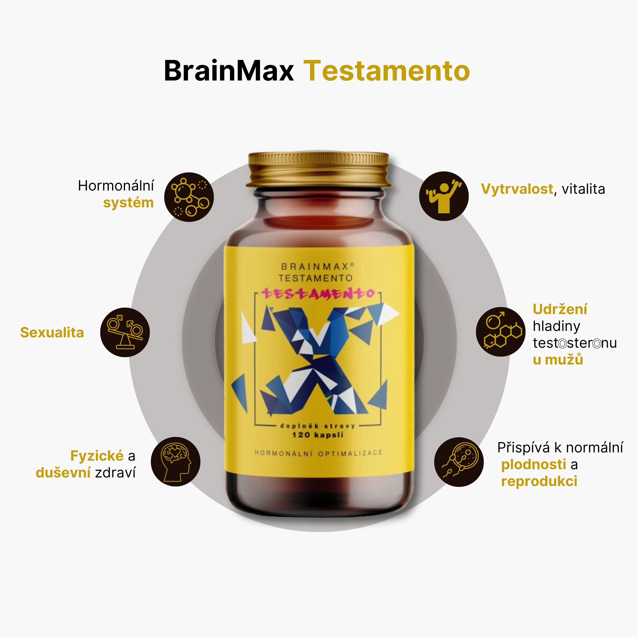 BrainMax Testamento 120 tablet Obrázek